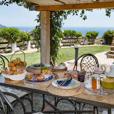 Annetta فيلة Poggi