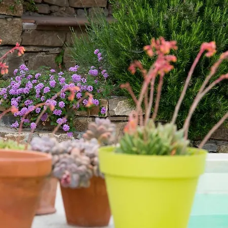 Βίλα Annetta Poggi